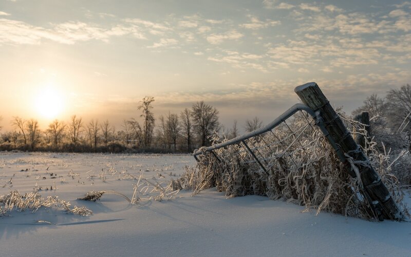Frozen Fence in Snow — White