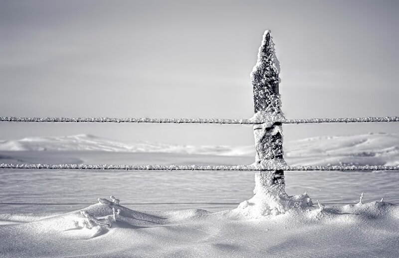 Frozen Fence Post