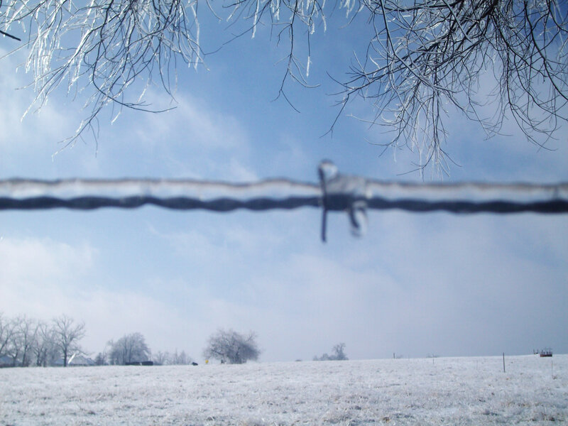 frozen field with barbed wire