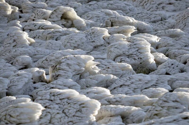 Frozen Foam on Water