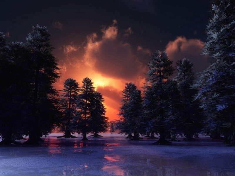 Frozen Forest at Sunset — Orange, Dramatic, Digital Art