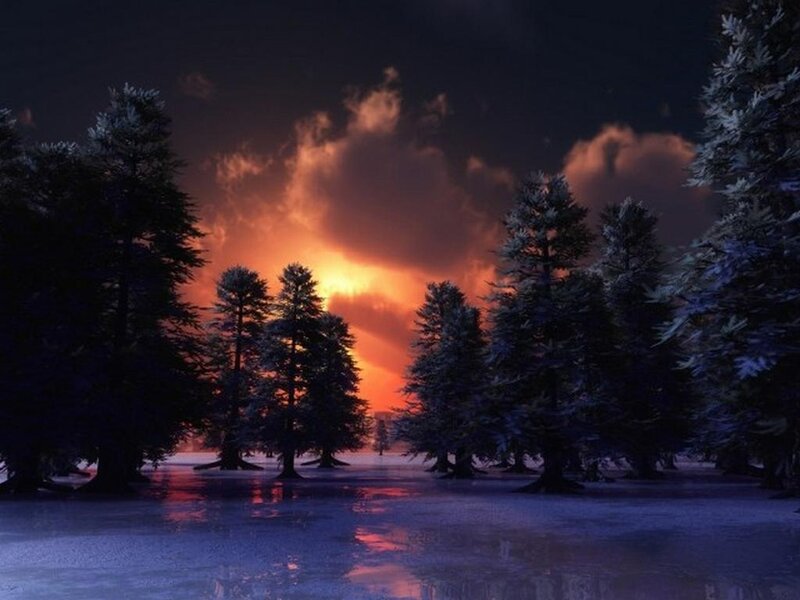 Frozen Forest at Sunset — Orange, Dramatic