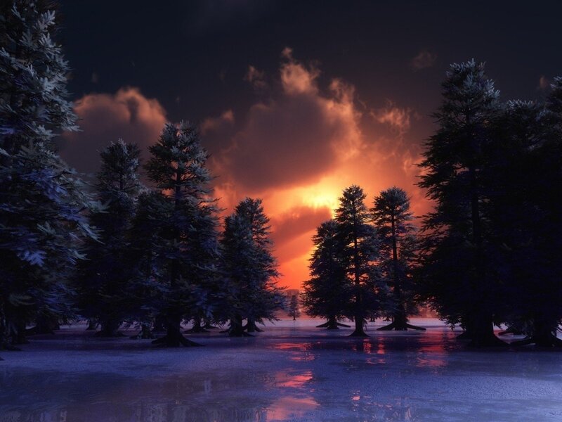 Frozen Forest at Sunset — Orange