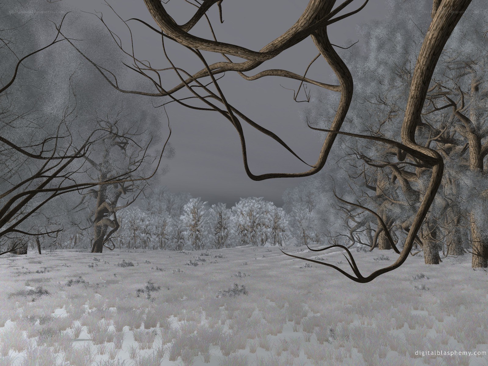 frozen forest landscape