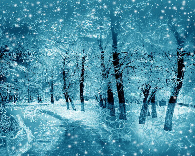 Frozen Forest Path — Blue