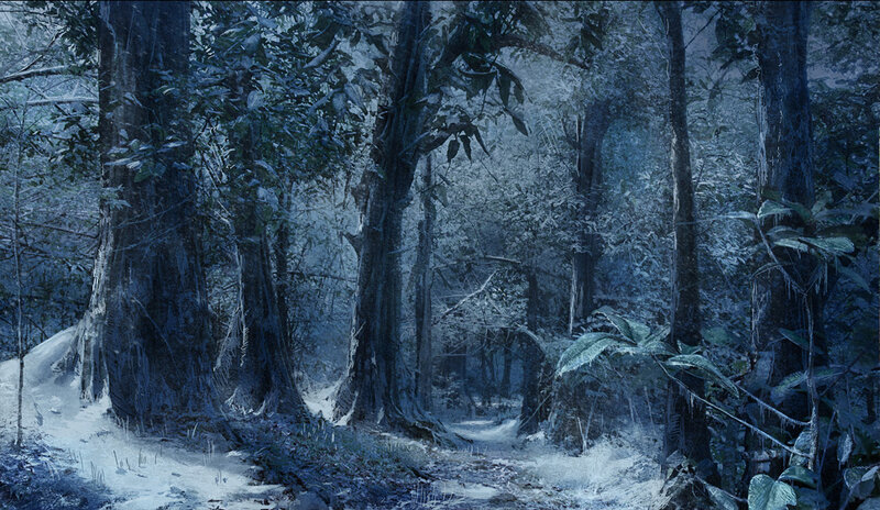 frozen forest path