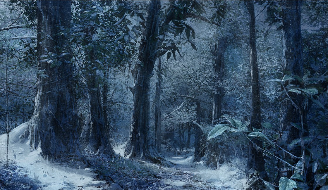 frozen forest path