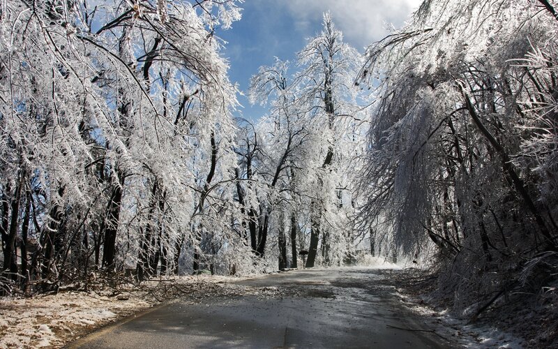 Frozen forest road
