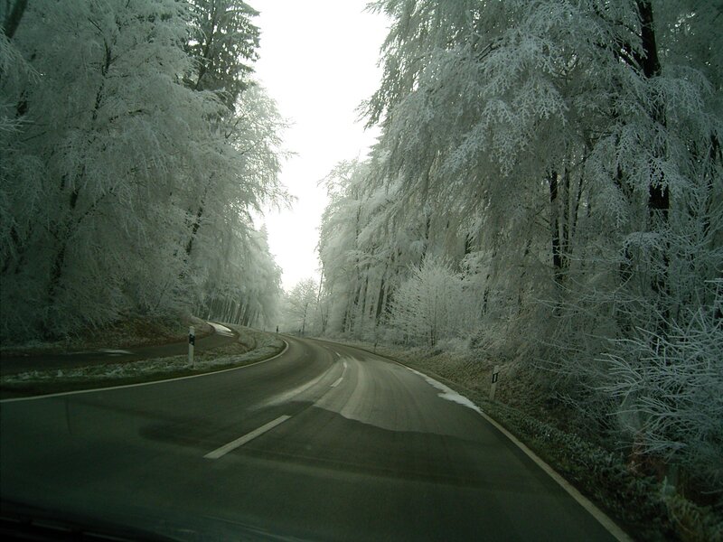 frozen forest road