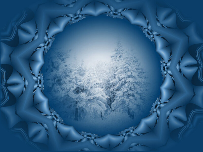 frozen forest through blue frame