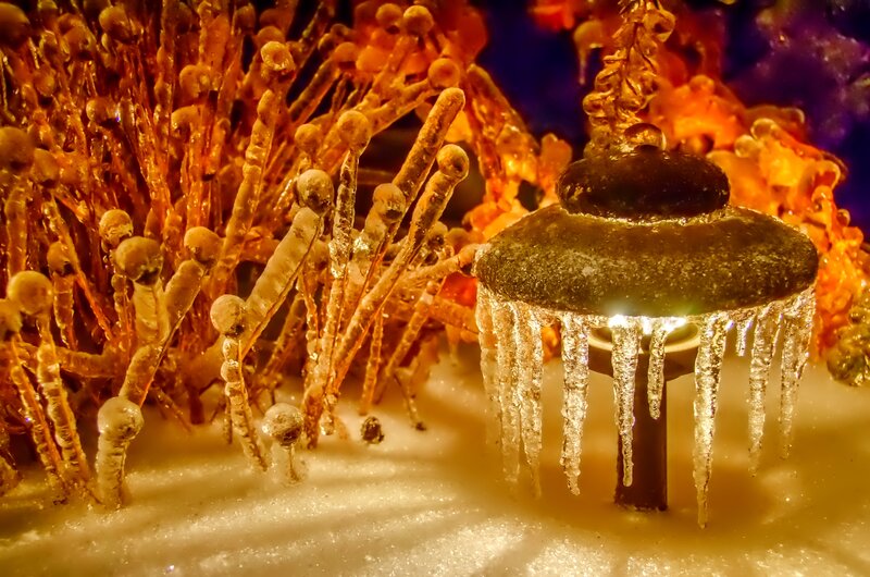 Frozen Fountain with Icicles