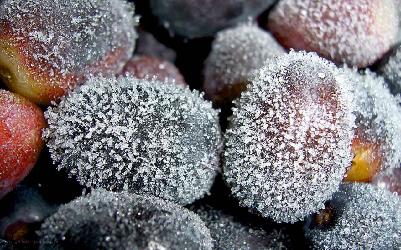 frozen grapes with frost