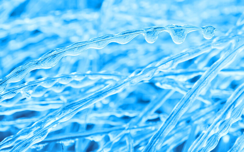 Frozen Grass Blades — Blue