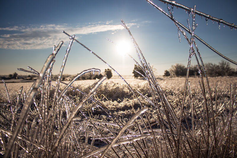 Frozen Grass in Field