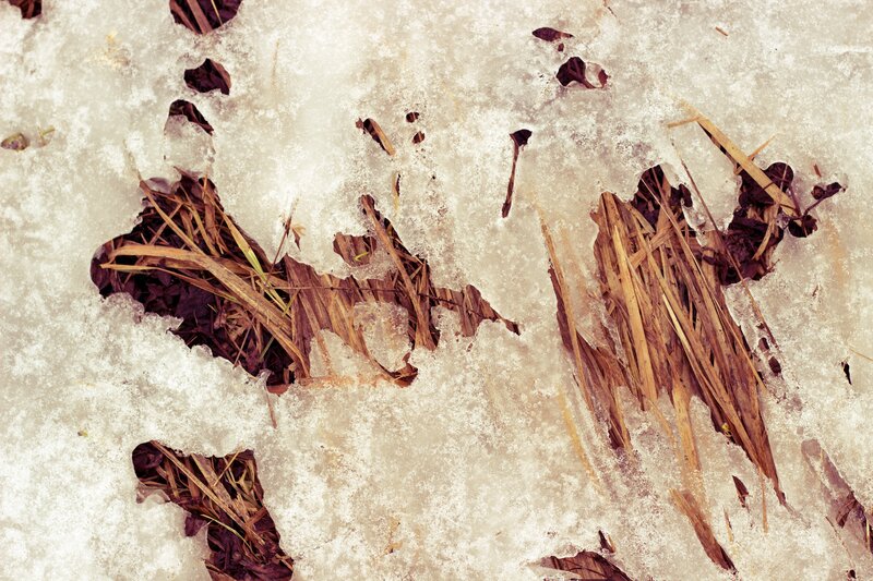 Frozen Ground with Debris