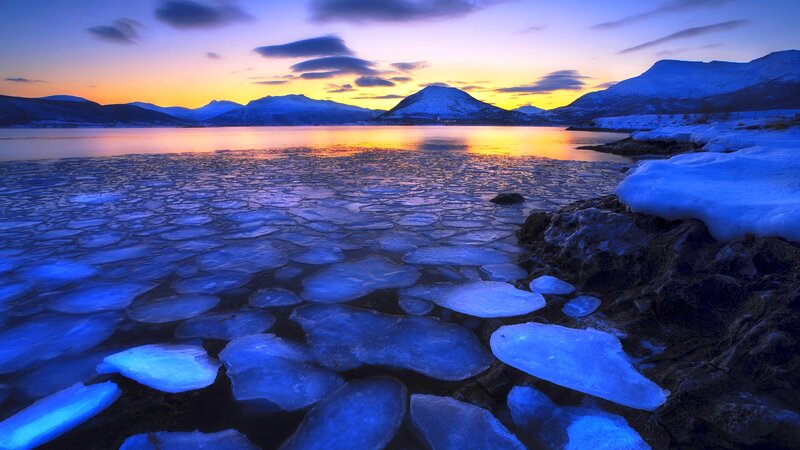 Frozen Ice Floes