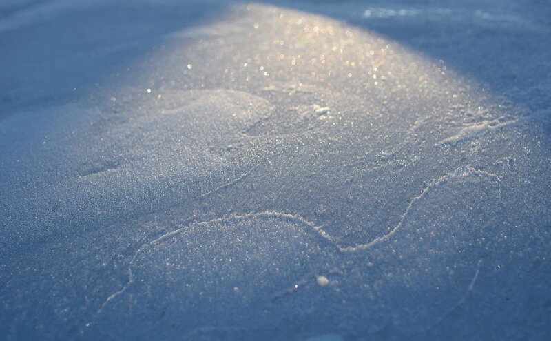 Frozen Ice Surface