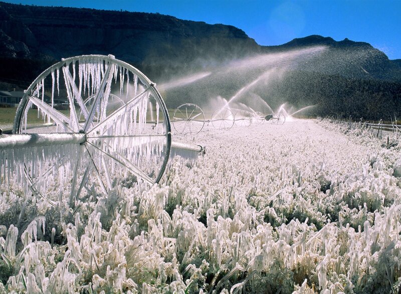 Frozen Irrigation Sprinklers