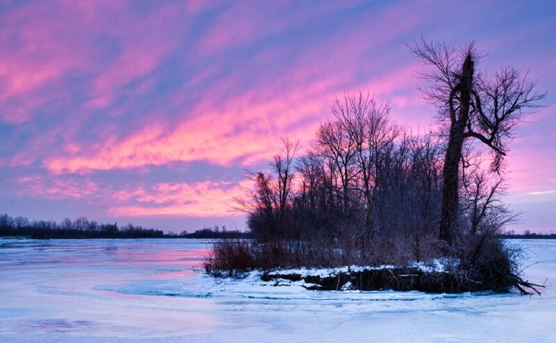 Frozen Island with Bare Trees