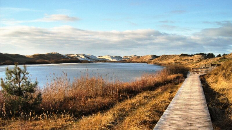 Frozen Lake and Dunes