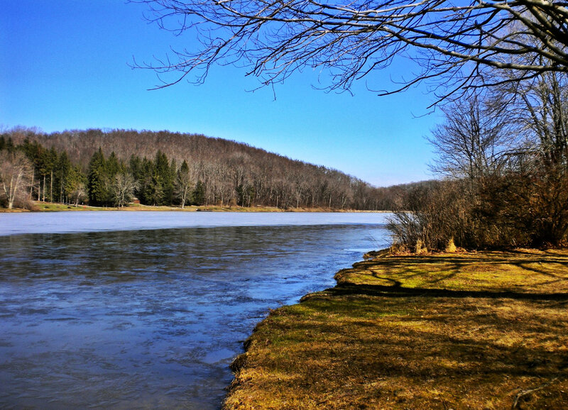 Frozen Lake and Forest