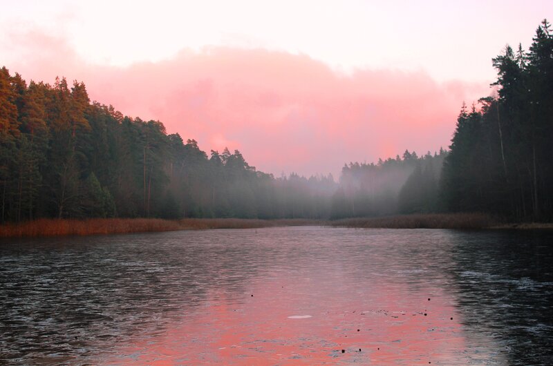 Frozen Lake at Dawn — Pink