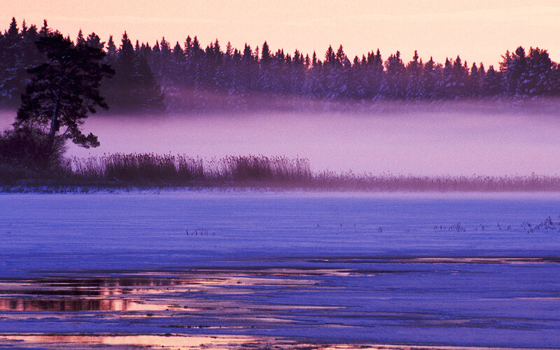 Frozen Lake at Dawn — Purple