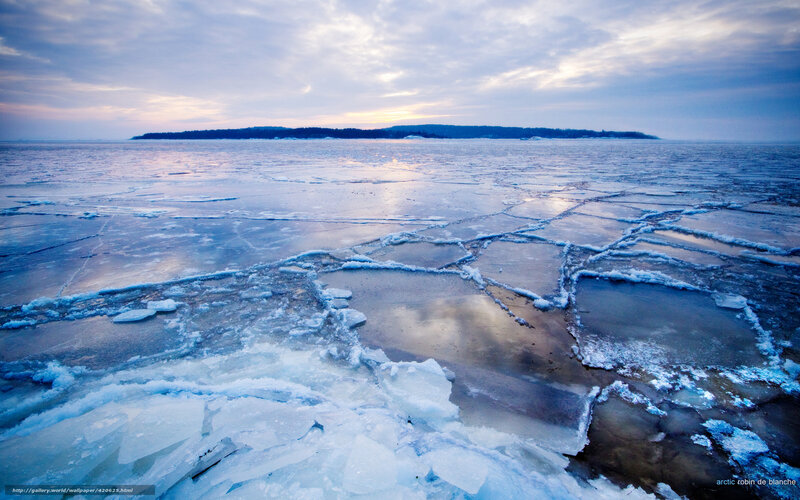 Frozen lake at dawn