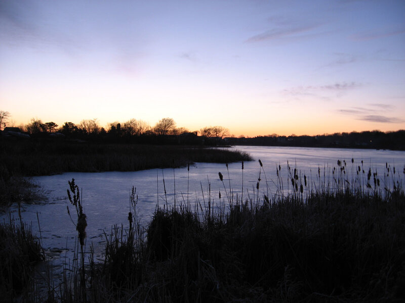 Frozen Lake at Dusk — Blue, Serene, Sunset, Photograph, Reeds