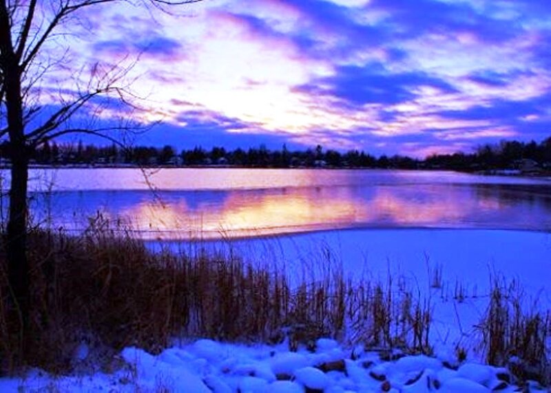 Frozen Lake at Dusk — Blue, Serene, Winter, Photograph, Tree