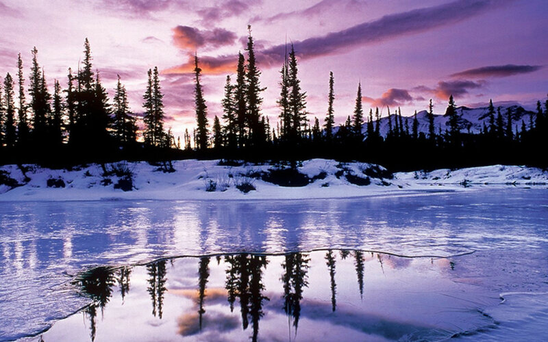 Frozen Lake at Dusk — Purple, Serene, Winter, Photograph