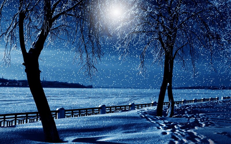 Frozen Lake at Night — Blue, Serene, Photograph, Trees