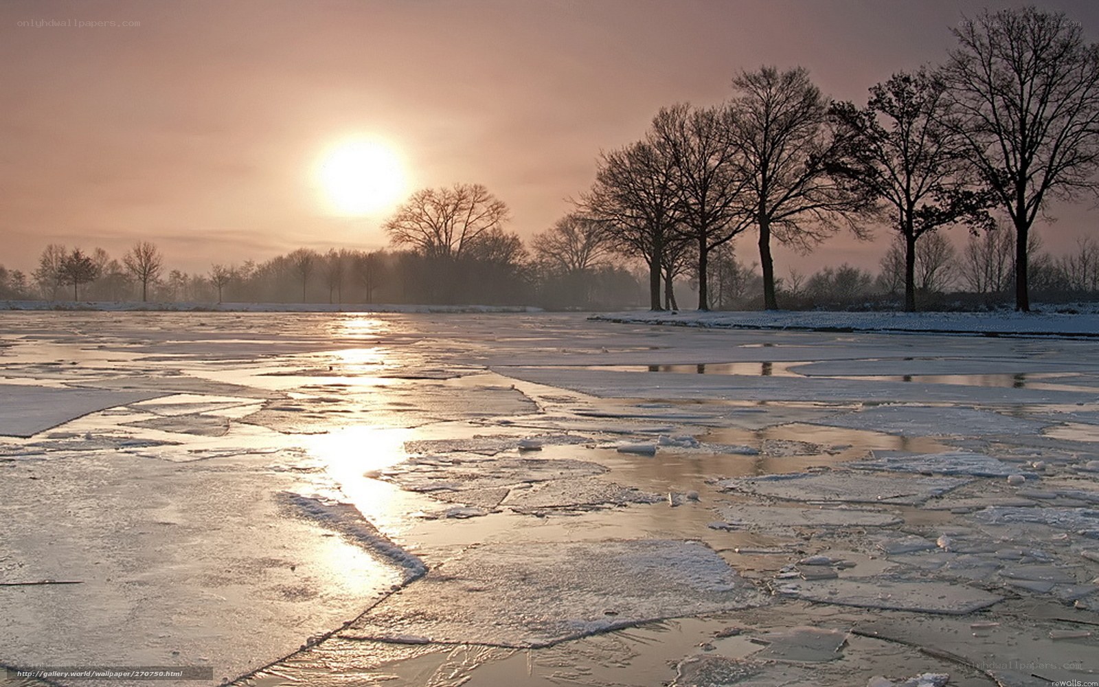 Frozen lake at sunrise