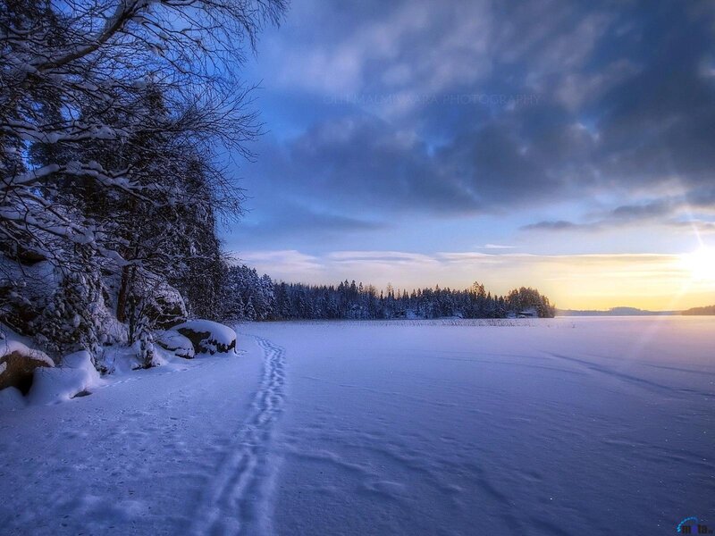 Frozen Lake at Sunset — Blue, Serene, Photograph, Snow, Trees, Footprints