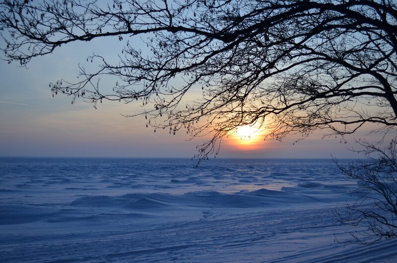 Frozen Lake at Sunset — Blue, Serene, Photograph, Tree Branches