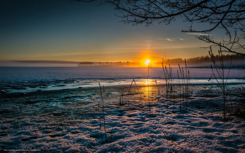 Frozen Lake at Sunset — Orange, Serene, Photograph, Sun, Snow, Trees