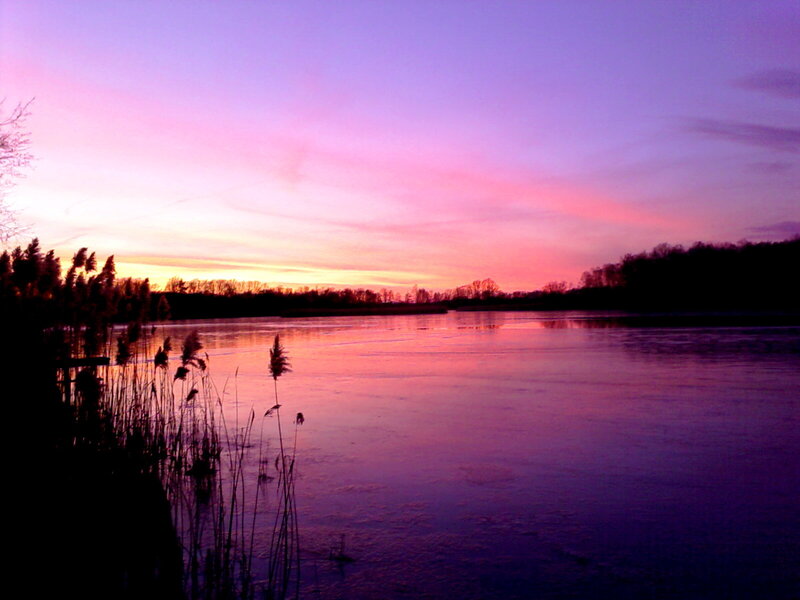 Frozen Lake at Sunset — Purple, Serene, Photograph, Reeds