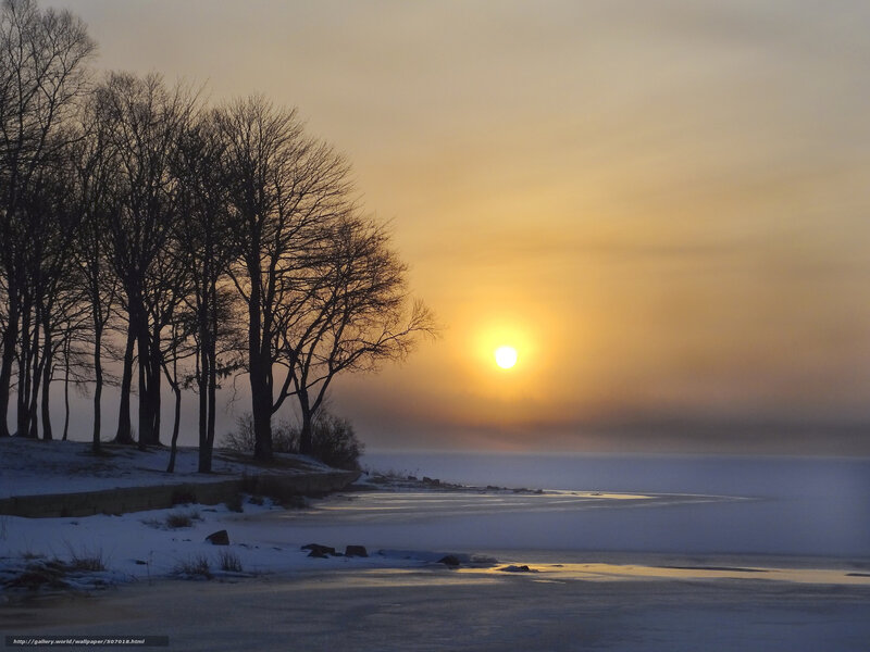 Frozen Lake at Sunset — Yellow, Serene, Winter