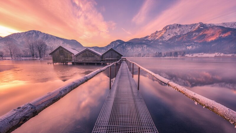 Frozen Lake Dock — Pink