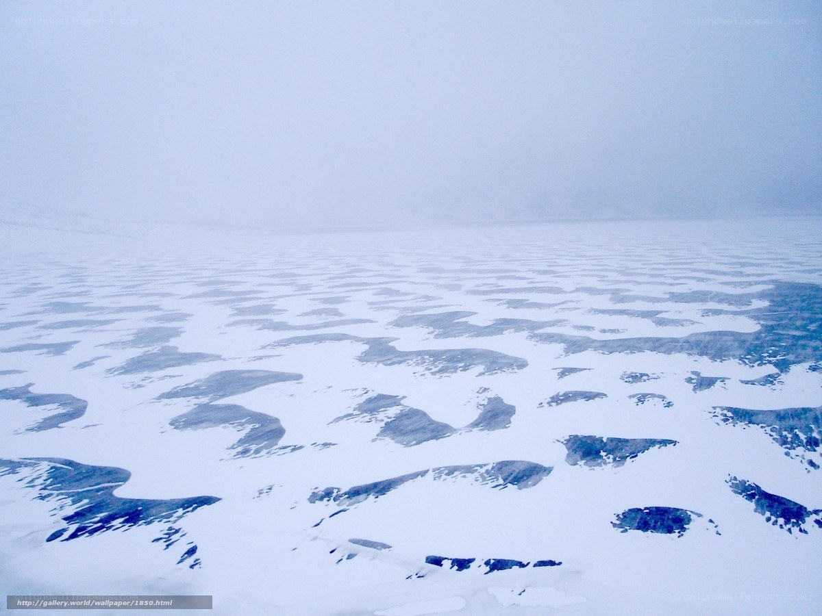 frozen lake in fog