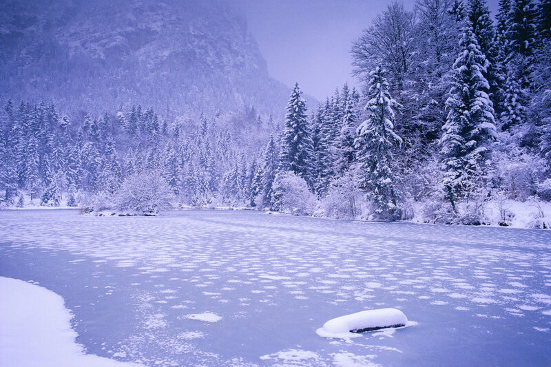 Frozen Lake in Forest — Blue, Cold