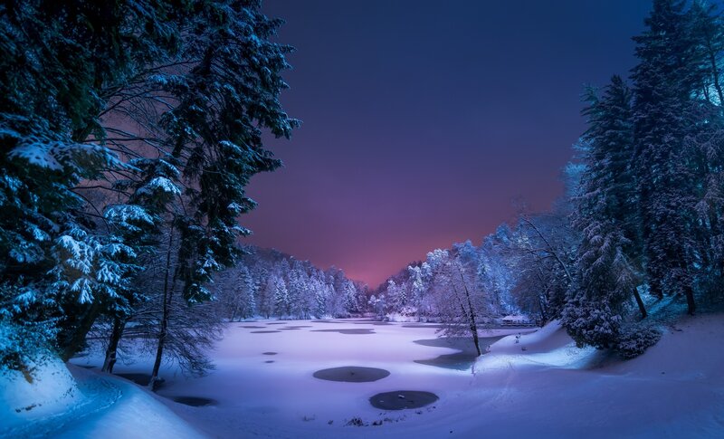 Frozen Lake in Forest — Blue, Serene, Night