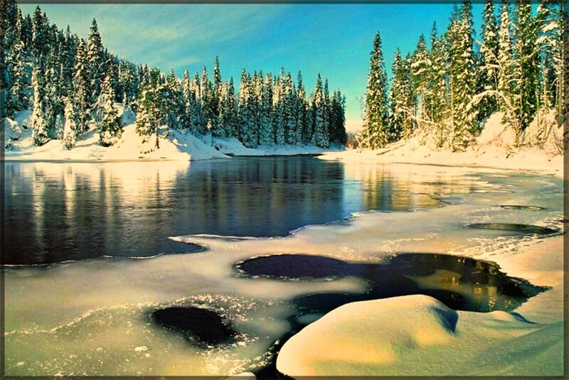 Frozen Lake in Forest — Blue, Serene