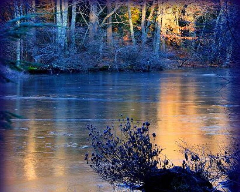 Frozen Lake in Forest — Blue, Serene, Winter, Photograph, Trees