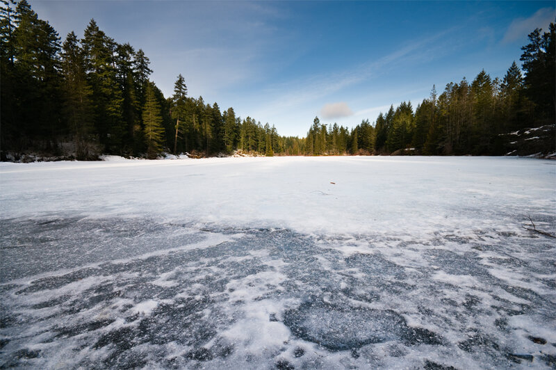 Frozen Lake in Forest — Blue, Serene, Winter