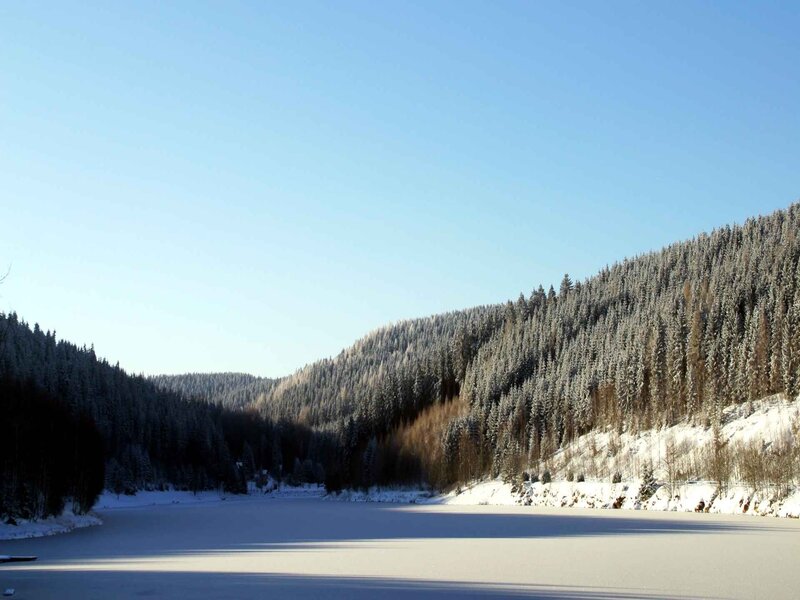 Frozen Lake in Forest — Blue