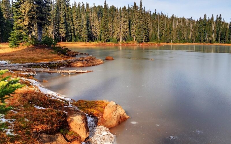 Frozen Lake in Forest — Green