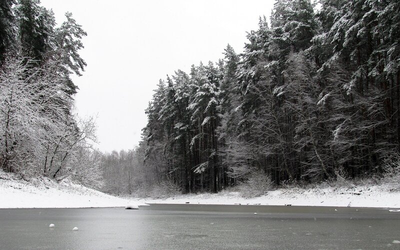 Frozen Lake in Forest — White, Cold