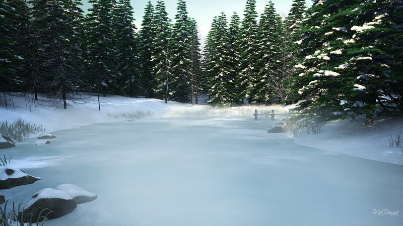 Frozen Lake in Forest — White, Serene