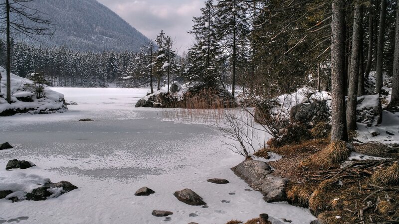 Frozen Lake in Forest — White, Serene, Winter, Photograph